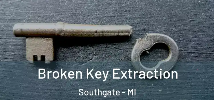  Broken Key Extraction Southgate - MI