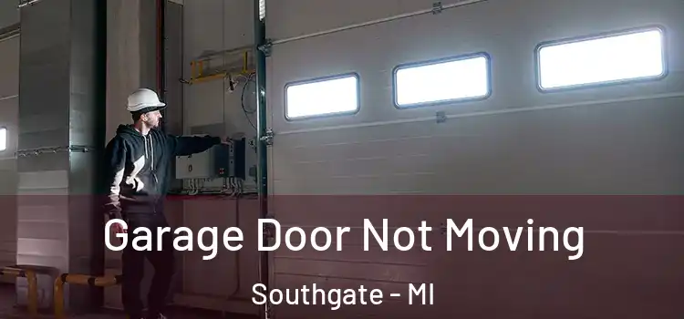  Garage Door Not Moving Southgate - MI