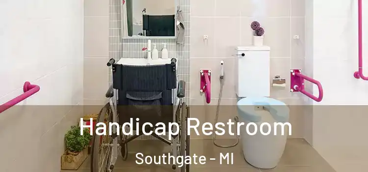  Handicap Restroom Southgate - MI