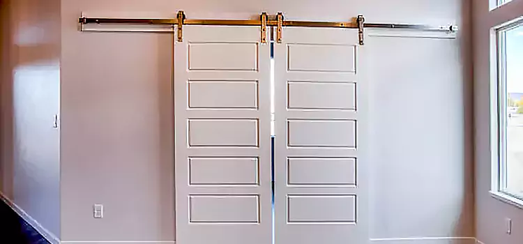 Glass Barn Door with Installation Hardware Kit Southgate
